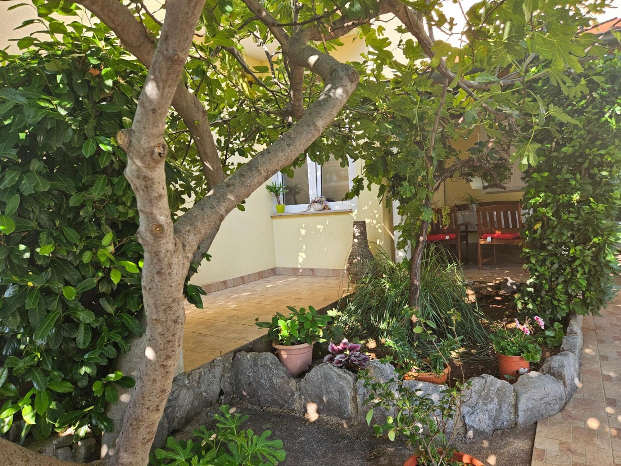 Apartmani Sanja Klenovica Kültér fotó